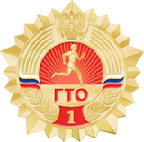 Золотой значок 1 ступень 