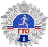 Серебряный значок 2 ступень 