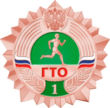 Бронзовый значок 3 ступень